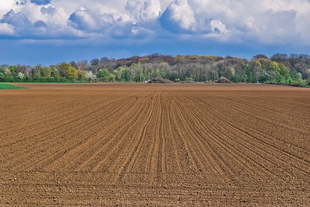 buying land in Dona Ana County