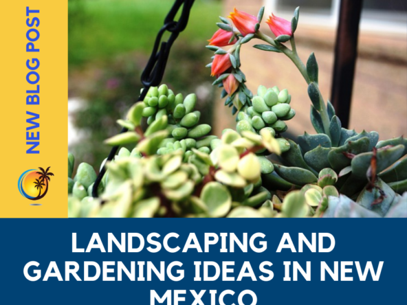 Landscaping and Gardening Ideas in New Mexico