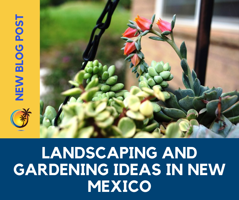 Landscaping and Gardening Ideas in New Mexico