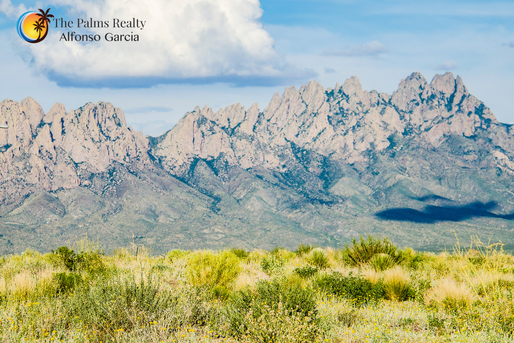 Affordable homes in Las Cruces close to the organ mountains