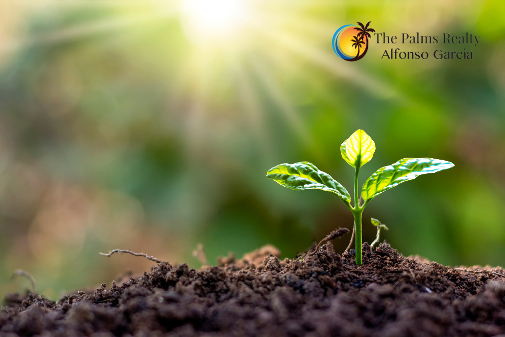 Growing food in the Las Cruces Climate